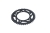 11613-42_2_large.jpg