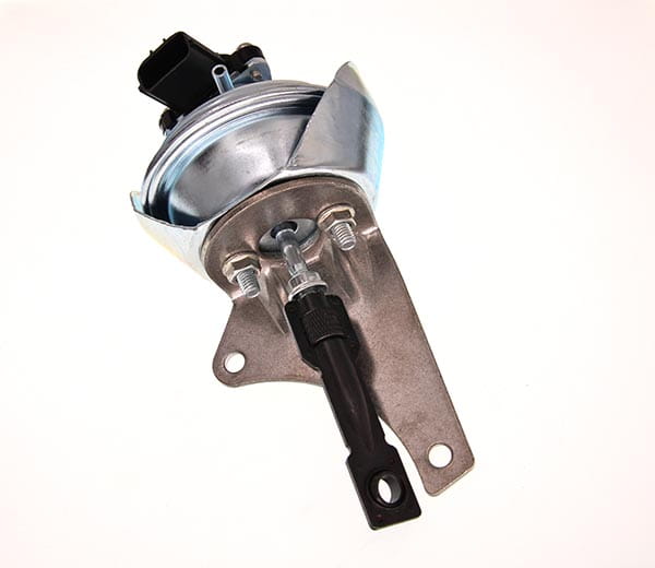 ZW229-THM_1_large.jpg