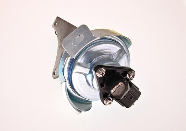 ZW229-THM_2_large.jpg