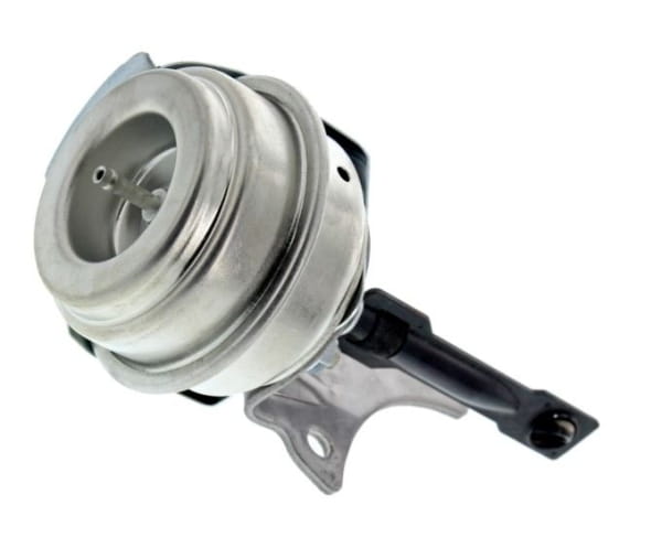 ZW27-THM_large.jpg