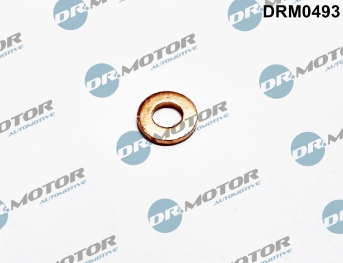 DRM0493_large.jpg