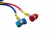 WG02670_6_large.jpg