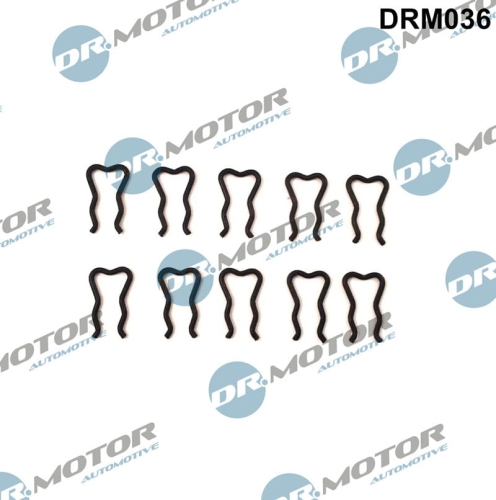 drm036_large.jpg