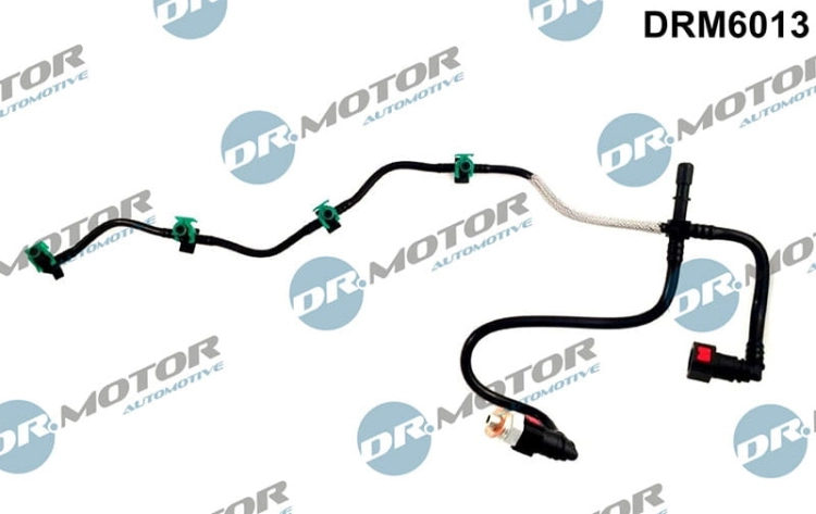 DRM6013_large.jpg