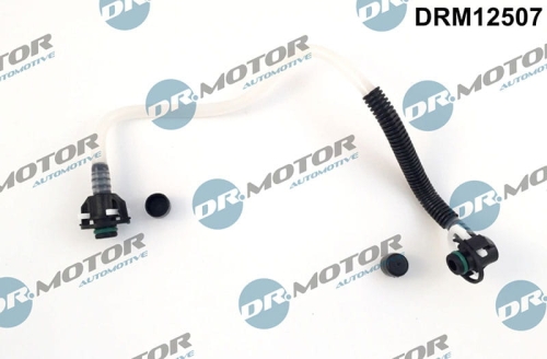 DRM12507_large.jpg