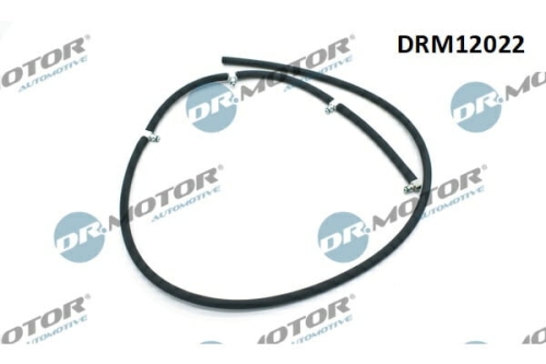 DRM12022_large.jpg