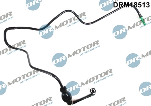 drm18513_large.jpg