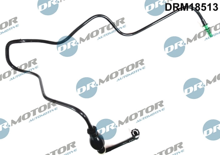 drm18513_large.jpg