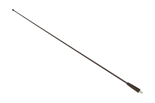 6561st_large.jpg