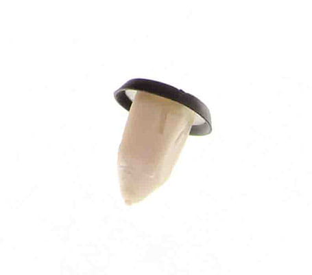 1713475_large.jpg