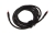 BASCATKLF-AL91_2_large.jpg