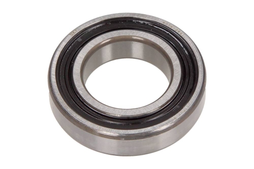 6006-2RS1_large.jpg