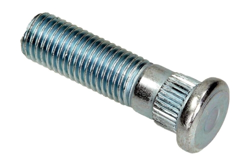 5175207000_large.jpg