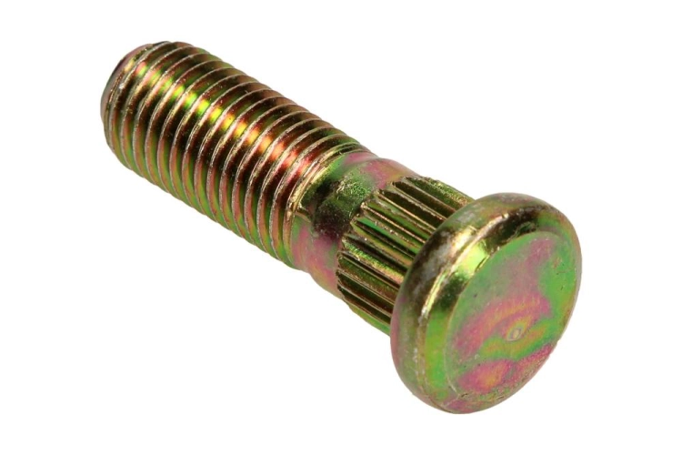 0k01126113b_large.jpg