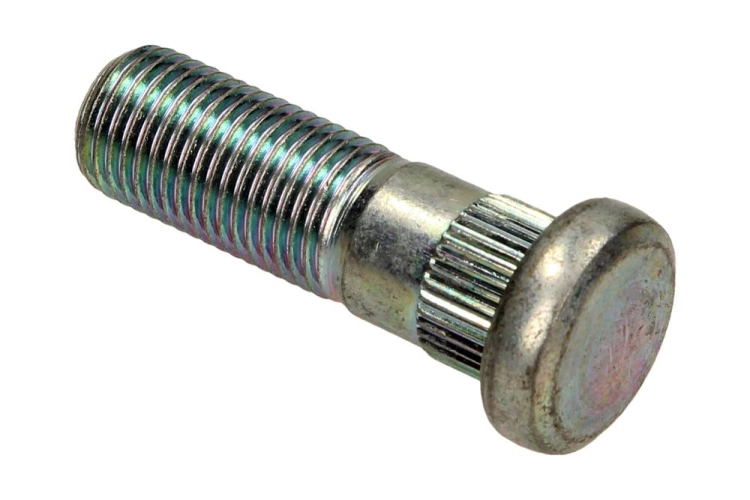 40222a0800_large.jpg