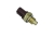 TS10490_2_large.jpg