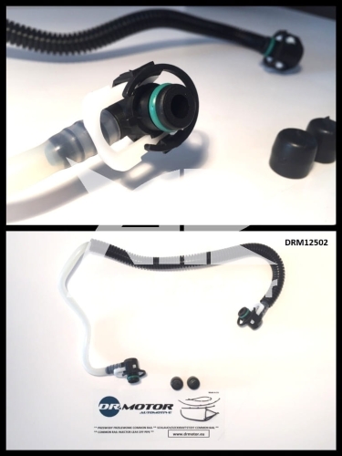 DRM12502_zw_large.jpg