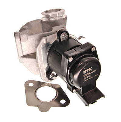 EGE5-A001_1_large.jpg