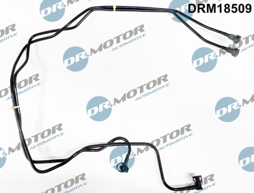 drm18509_large.jpg