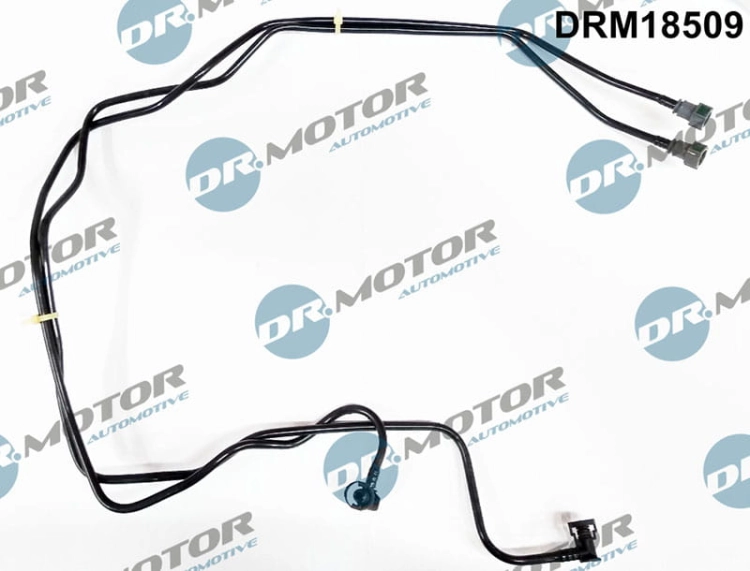 drm18509_large.jpg