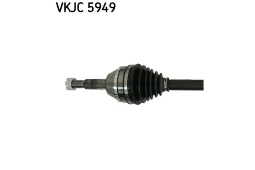 VKJC5949_2_large.jpg