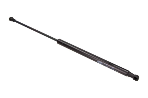 GS0100_large.jpg
