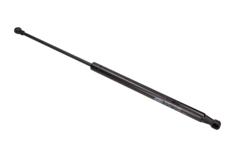 GS0100_large.jpg