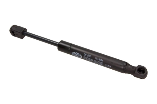 gs1031_large.jpg