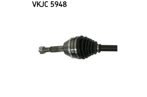 VKJC5948_2_large.jpg