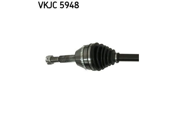 VKJC5948_2_large.jpg
