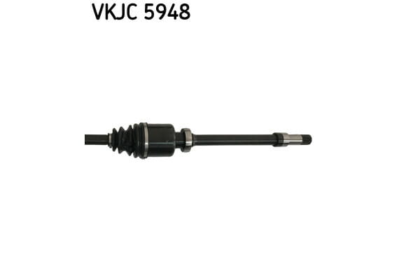 VKJC5948_3_large.jpg
