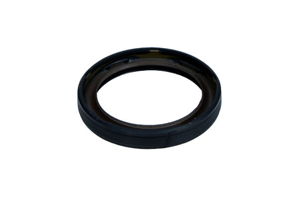 B19247_2_large.jpg