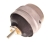 IMP37600_1_large.jpg