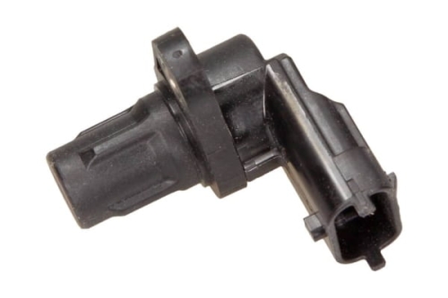 5802034639_large.jpg