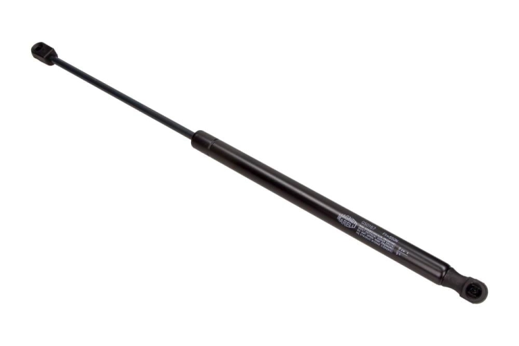GS0167_large.jpg