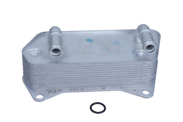 FE108950_1_large.jpg