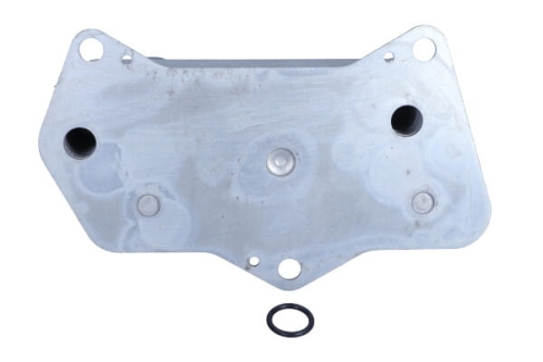FE108950_2_large.jpg