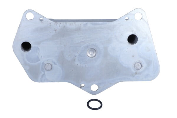 FE108950_2_large.jpg