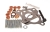 KT740170_2_large.jpg