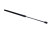 STA235446_1_large.jpg
