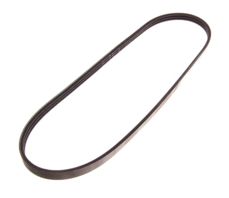 2018353_large.jpg