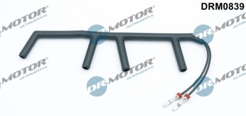 drm0839_large.jpg