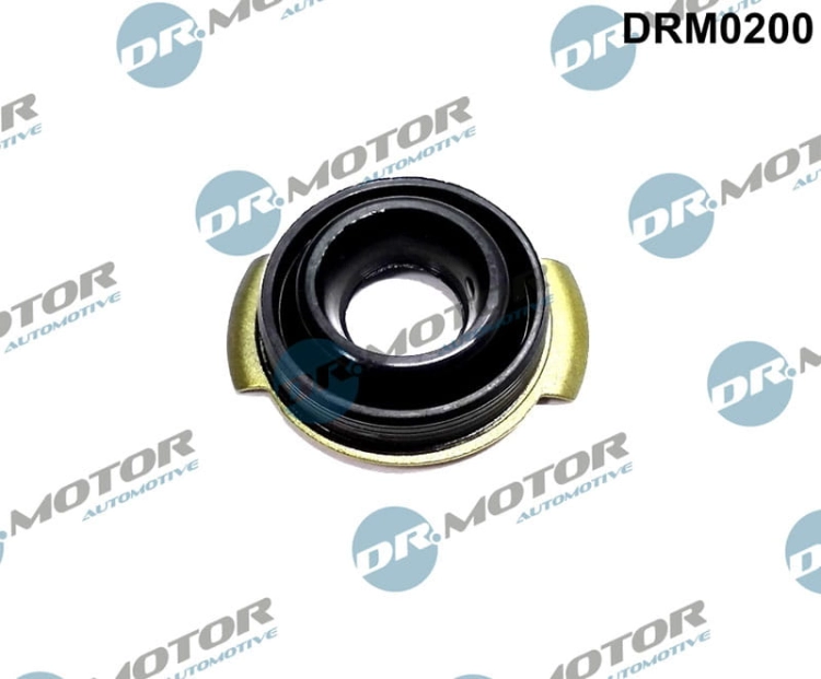 DRM0200_large.jpg