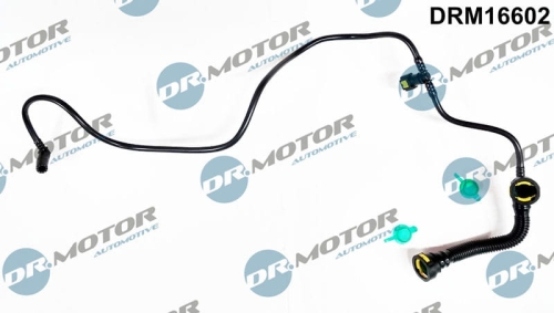 DRM16602_large.jpg