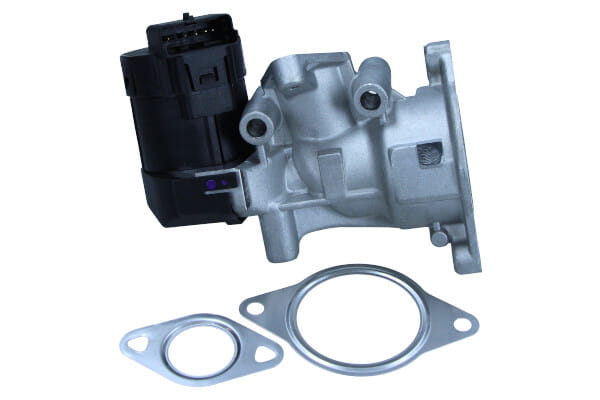 EGE5-A005_1_large.jpg