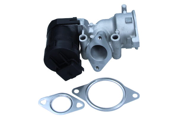 EGE5-A005_2_large.jpg