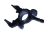 BSP20308_2_large.jpg
