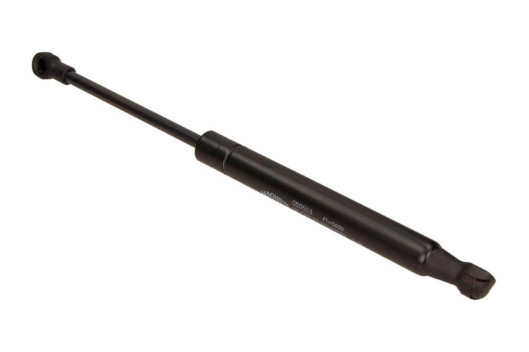 GS0503_large.jpg