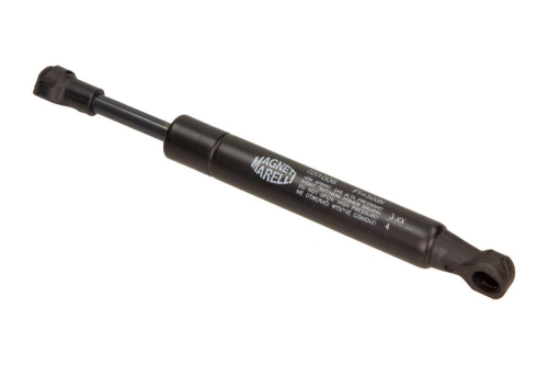 GS1006_large.jpg