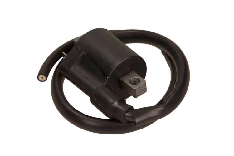 WCPS29_1_large.jpg